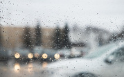 Погода в Туле 15 ноября: дождь со снегом и до +6 градусов